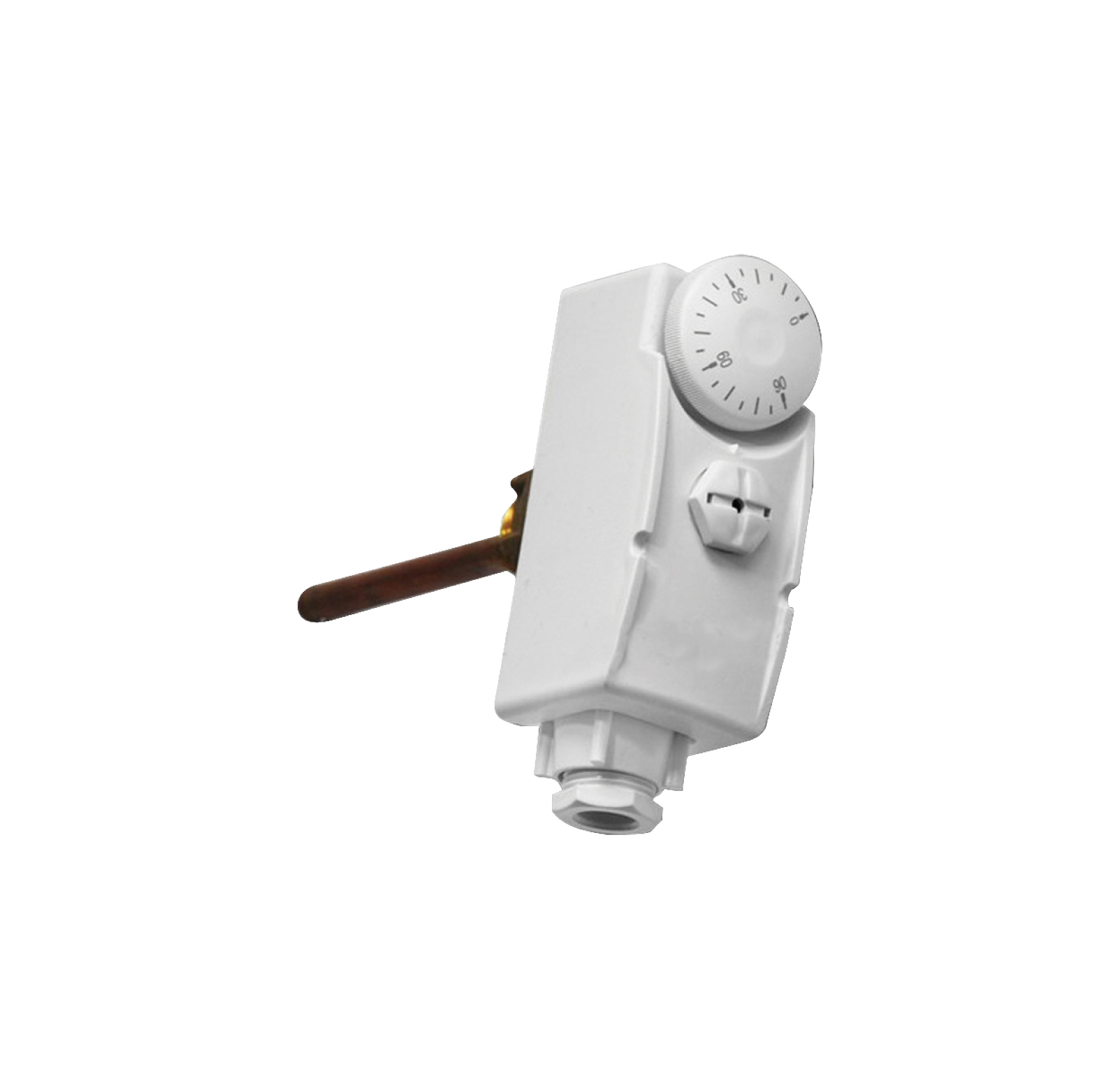 Termostat de imersie 1/2" 100mm TECNOGAS R03088